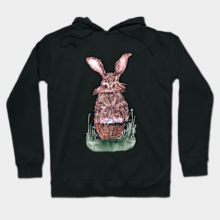 Easter Bunny Hoodie